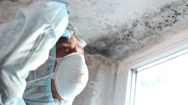 Best Residential Mold Inspection & Testing  in Mescal, AZ